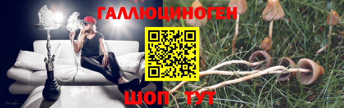 Псилоцибиновые грибы MAGIC MUSHROOMS Биробиджан
